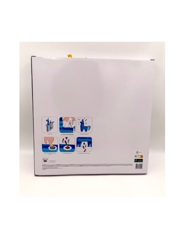 Carrosse de princesse