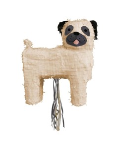 Beige Pug Dog